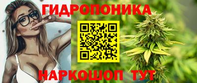эйфоретик Шелехов