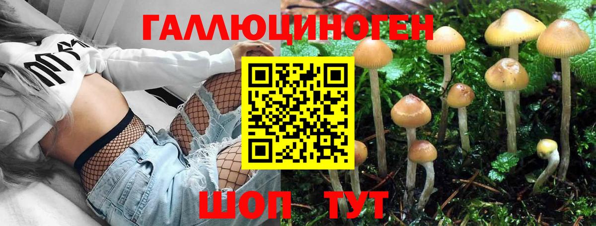 Псилоцибиновые грибы MAGIC MUSHROOMS  Вход с VPN  Боровичи 